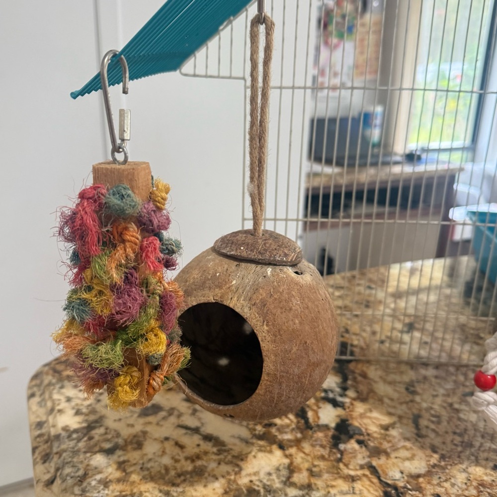 Natural Coconut Bird Toy with Colorful Rope - Picture 4 of 7